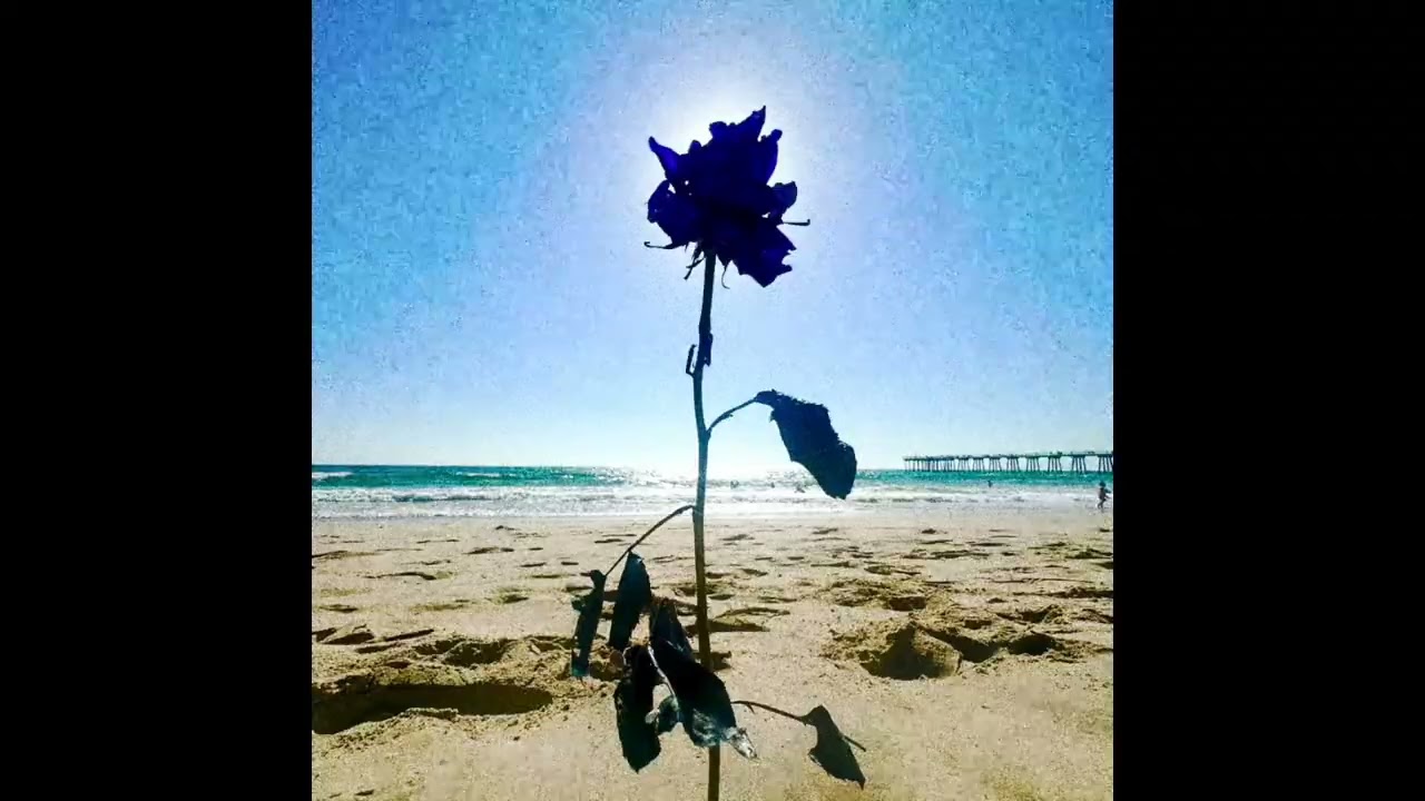 Burial on the Banks — a DJ set by NAHREINI [ELECTRONONSENSE Vol. 3]