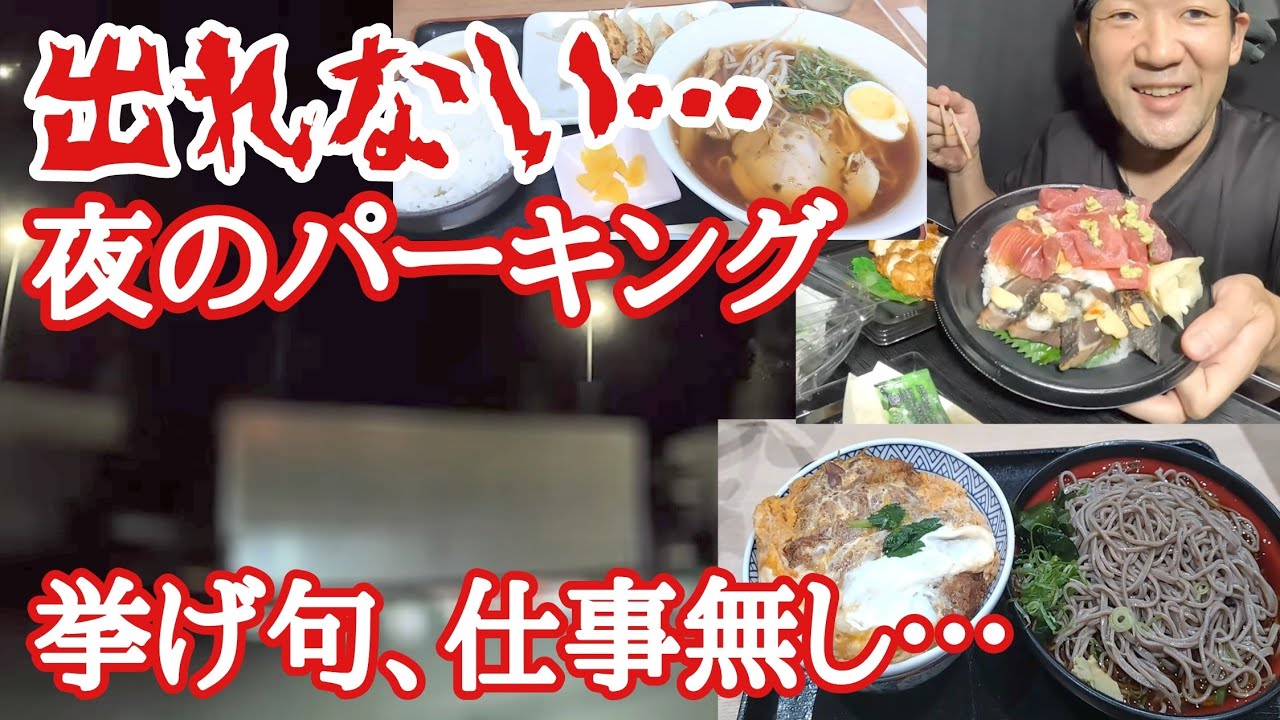 【長距離トラック】出れない…夜のパーキング。移動の挙げ句仕事無し…超ラッキー？珍しいそば処吉野家、蓮田SA半額飯、浜松ラーメン＆餃子【Japanese food】