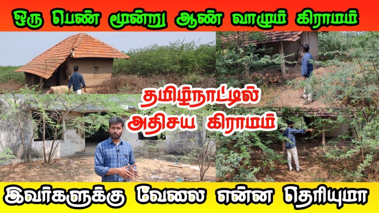 ஒரு பெண் மூன்று ஆண்கள் வாழும் அதிசய கிராமம் ராமநாதபுரம் மாவட்டம் முதுகுளத்தூர் தாலுகா SP பட்டி