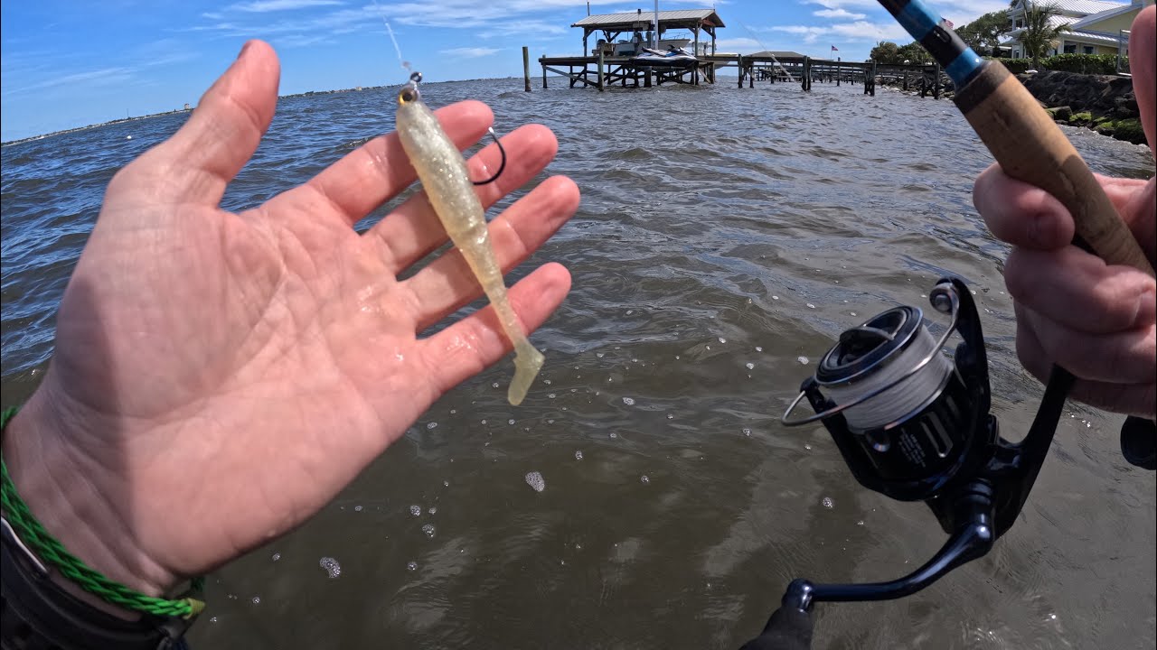 Catching Snook on the Slam Shady Paddlerz from Zman!!!