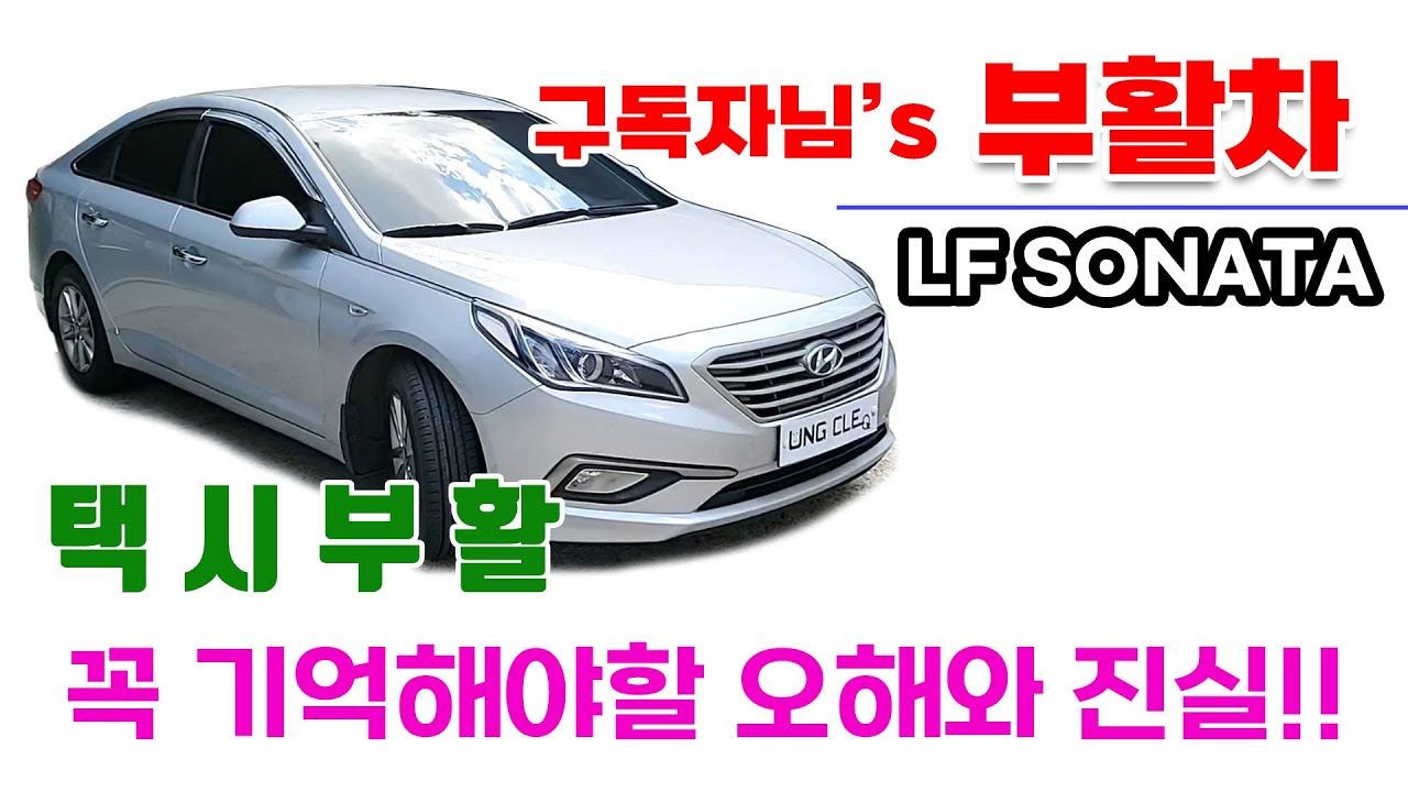 택시부활 오해와 진실 그리고 가격