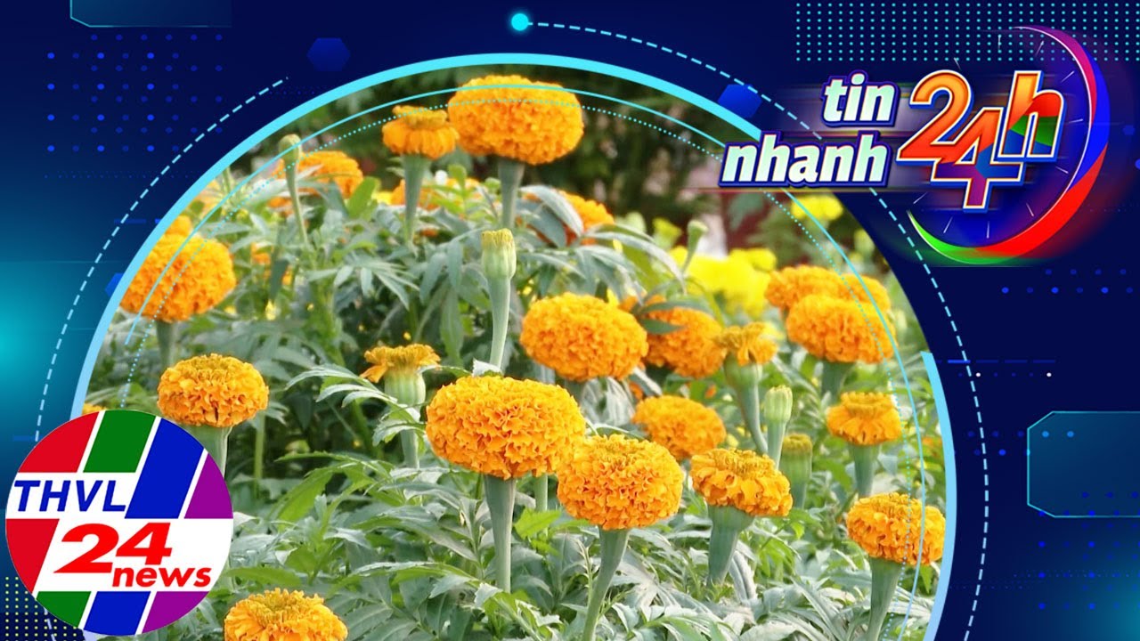 Tin nhanh 24h (27/01/2026)