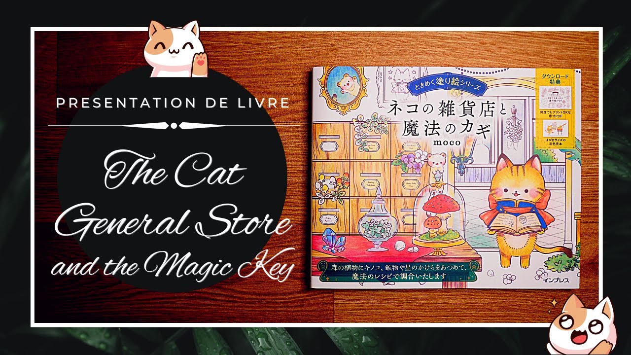 FLIP THROUGH - The Cat General Store and the Magic Key