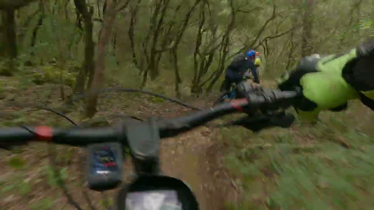 VTT  Foret de Montrieux JY