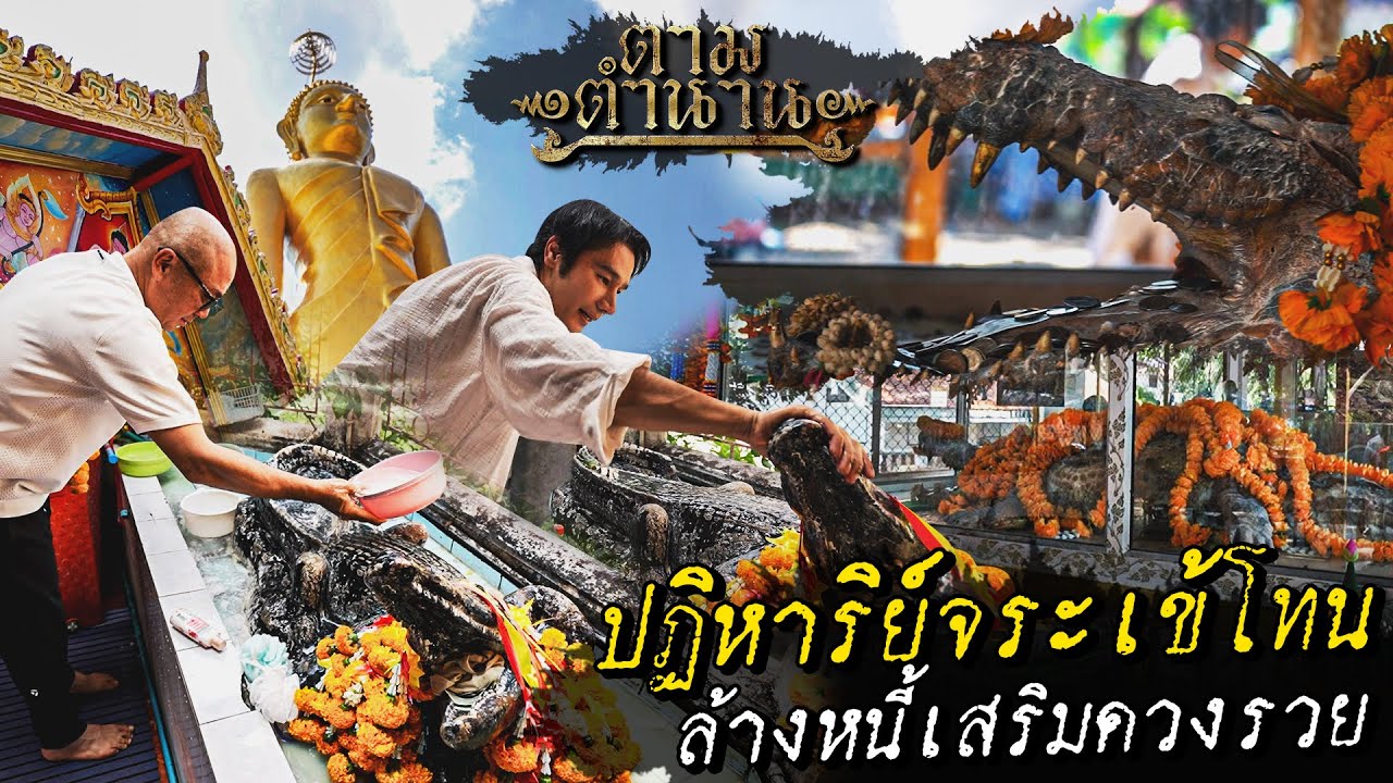 ปฏิหาริย์จระเข้โทน ล้างหนี้เสริมดวงรวย #ตามตำนาน | [Koboykrush]