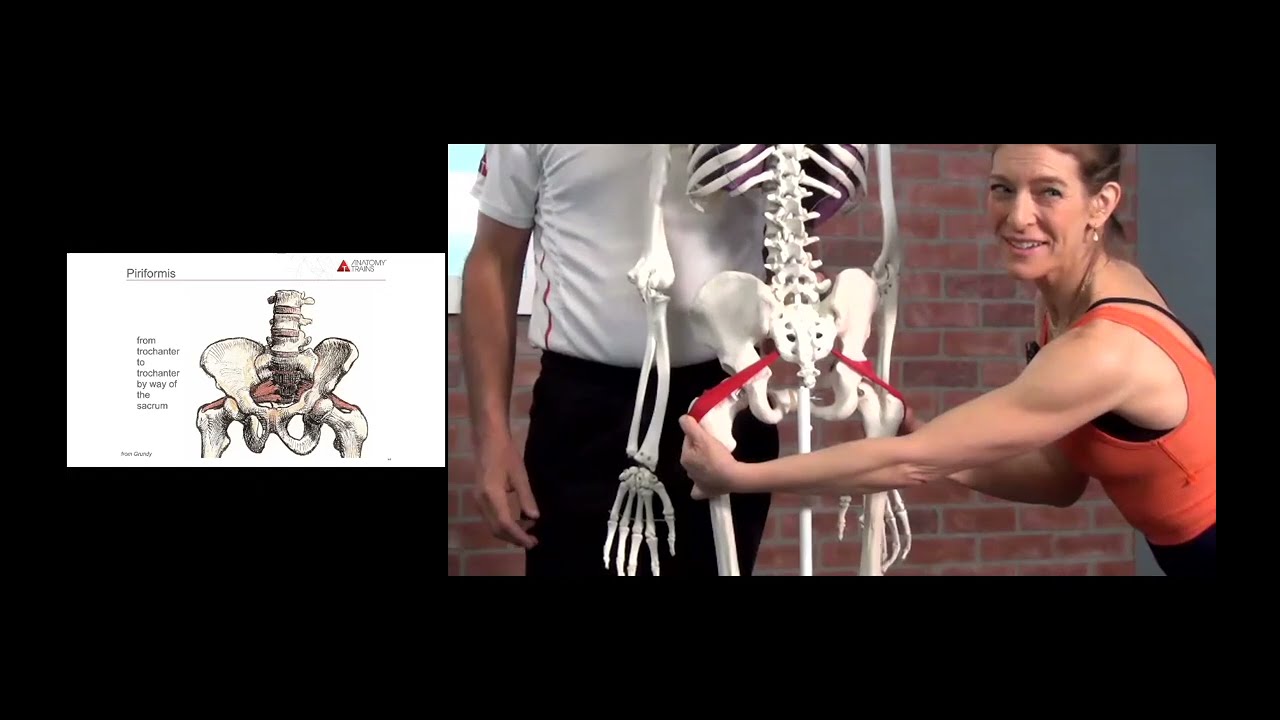 Preview of Rolling Along the Anatomy Trains: New Routes video with Tom Myers and Jill Miller