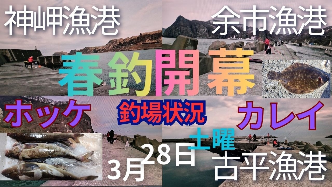 釣場状況・積丹半島