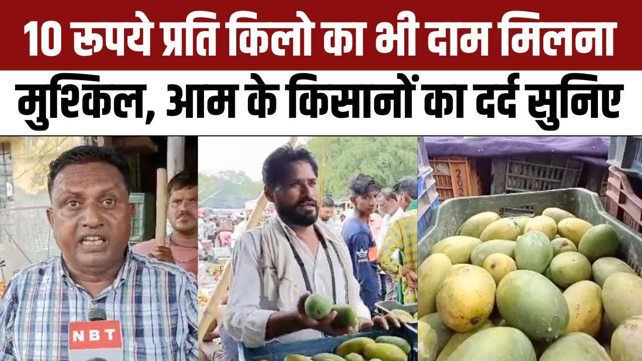 Lucknow Wholesale Market में Mango Price पर किसान परेशान, बाग की लागत के बराबर भी पैसे नहीं मिल रहे