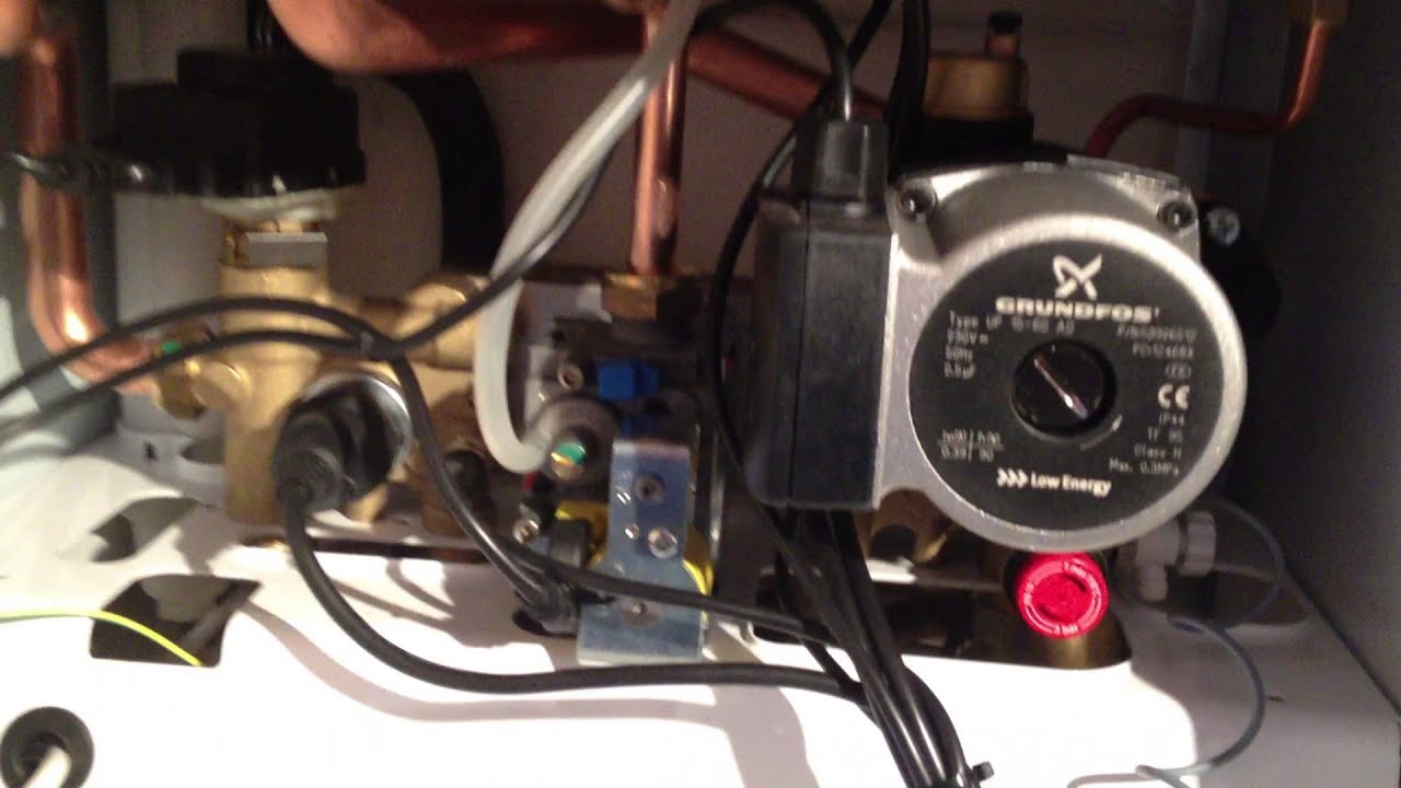 New Main Ecoelite boiler Installed