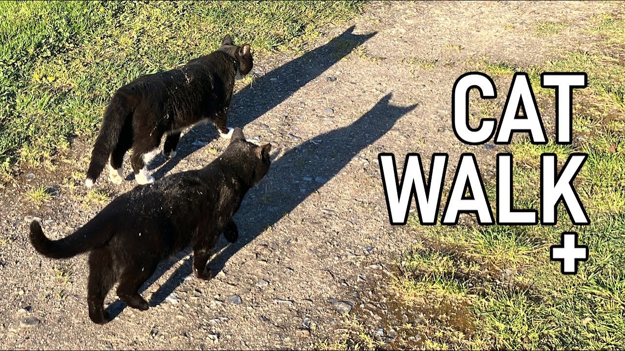 An entertaining, but tricky evening walk to the lake