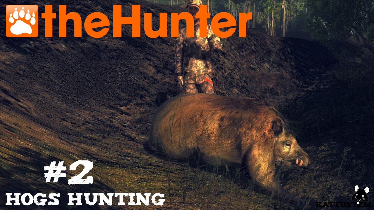 theHunter #2 - Loggers Point  : Feral Hog Hunting