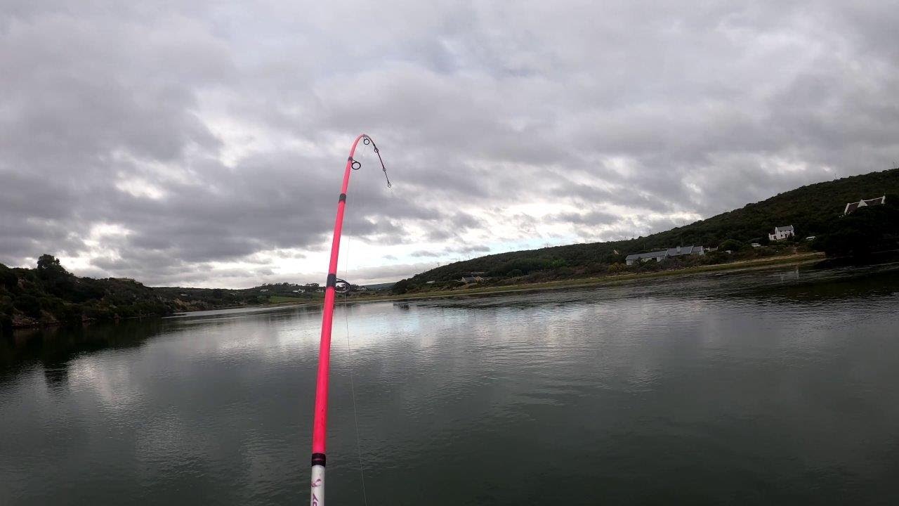 Kabeljou fishing on Stillbaai's Goukou river using light tackle