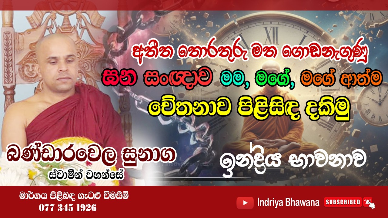 අතීත තොරතුරු මත ගොඩනැගුණු ඝන සංඥාව මම මගේ මගේ ආත්ම  චේතනාව පිළිසිඳ දකිමු...