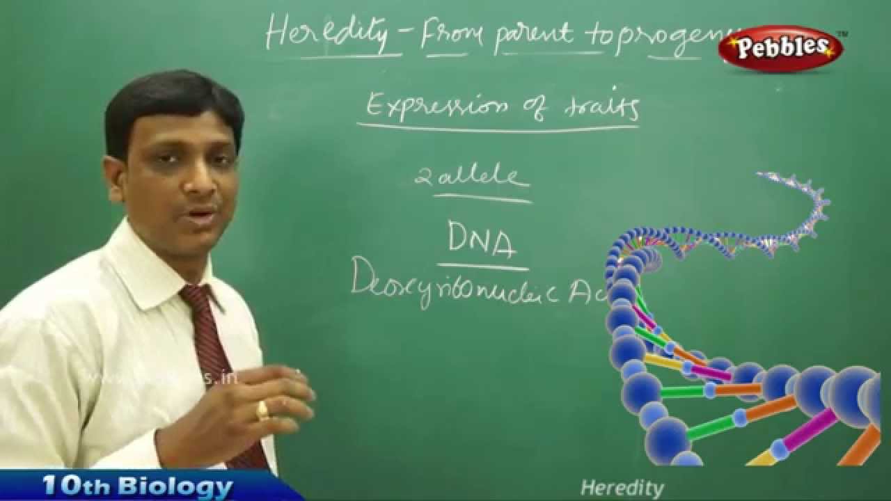 Heredity  AP & TS Class 10th State Board Syllabus Biology