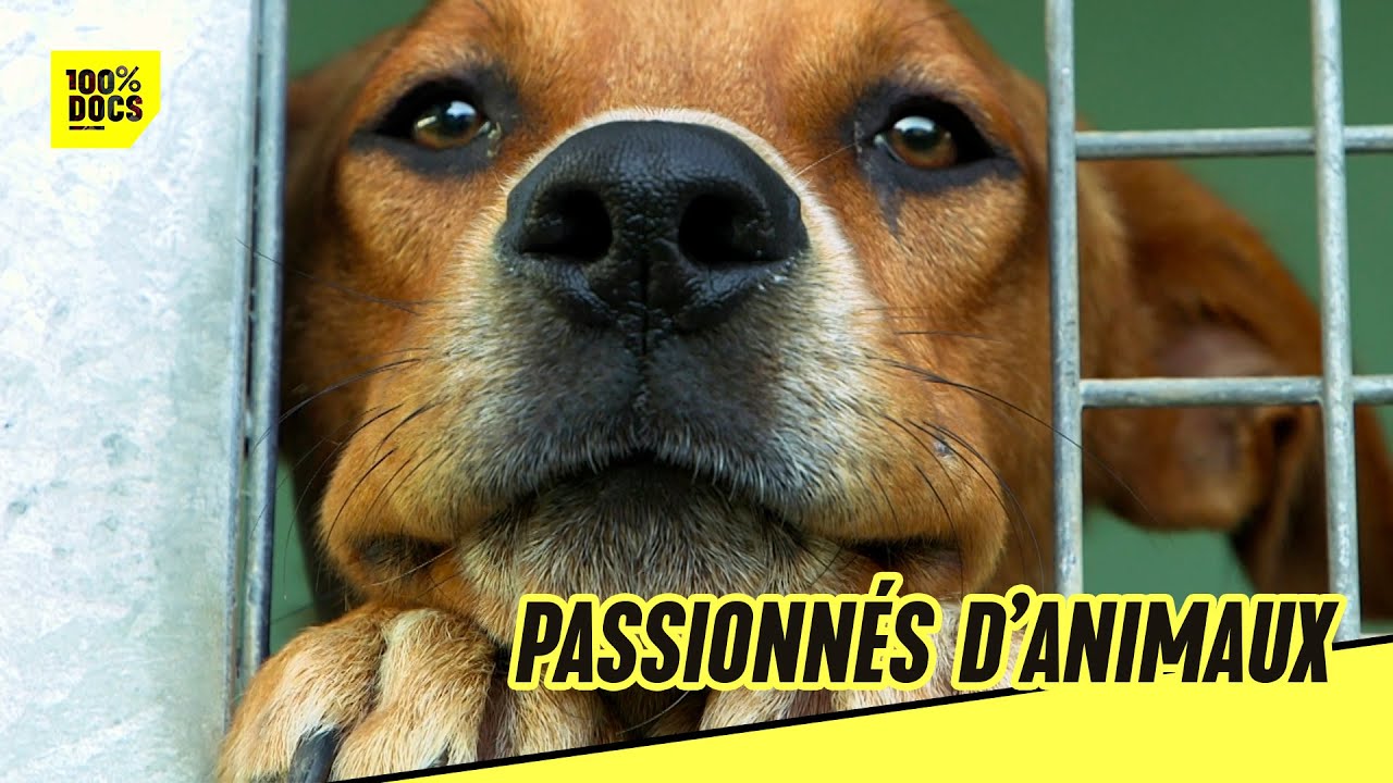 Passionnés d'animaux