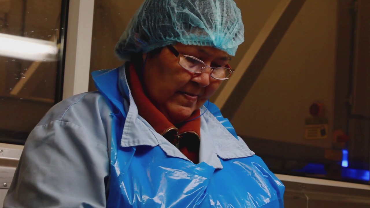 Cold-water shrimp (inshore) by Royal Greenland - fishery and processing