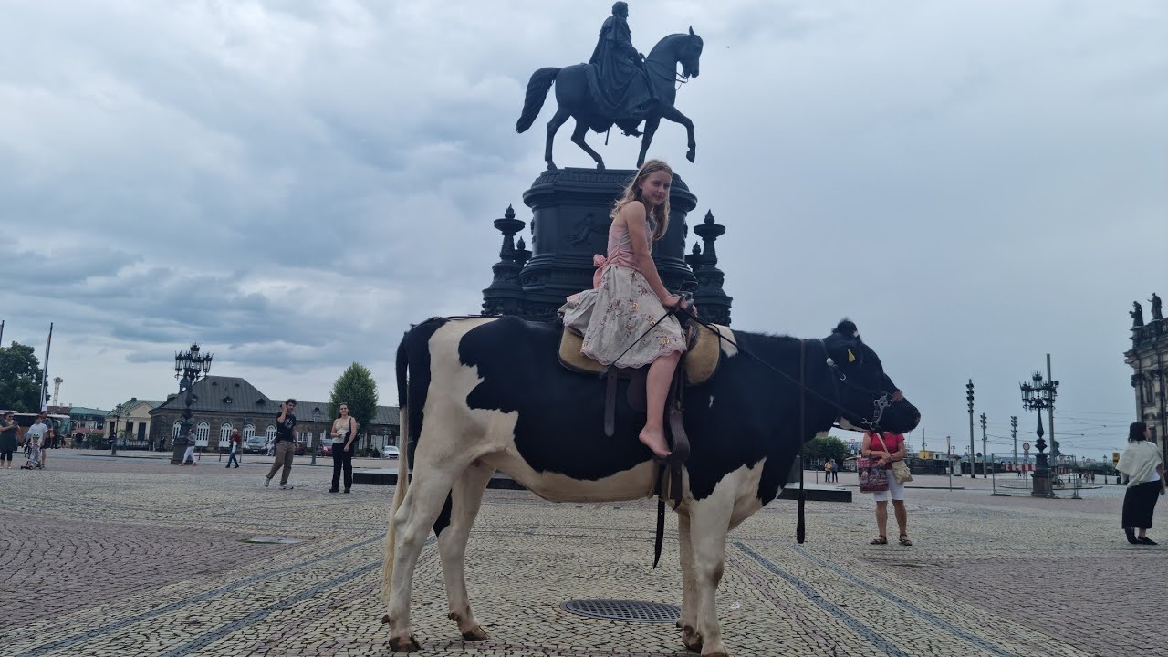 Reitkuh Annabelle in Dresden und am Blauen Wunder.