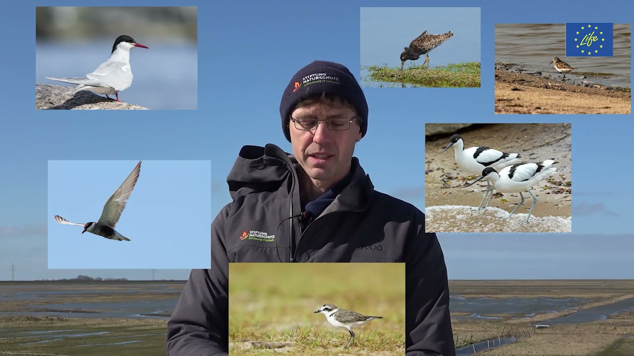 LIFE: Ecological restoration and mitigating biodiversity loss