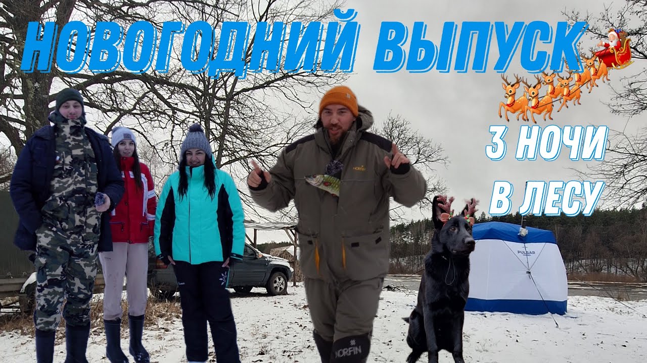 Новогодний выпуск, 3 ночи в Зимнем Лесу