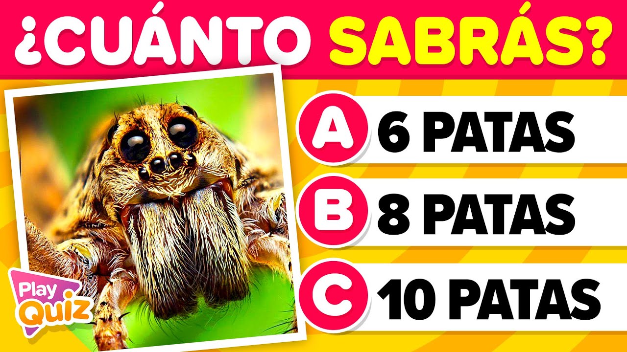 Preguntas que deberías Saber 🤓🧠📚 - Nivel Fácil  | Cultura General | PlayQuiz Trivia