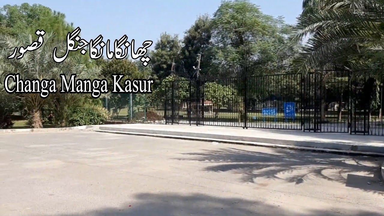 Changa Manga Forest | Changa Manga Jheel | Kasur | @NafeesPakistan