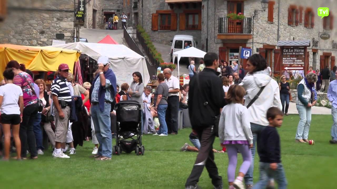 FESTA DEL BOLET A SETCASES - VALLDECAMPRODONTV.COM