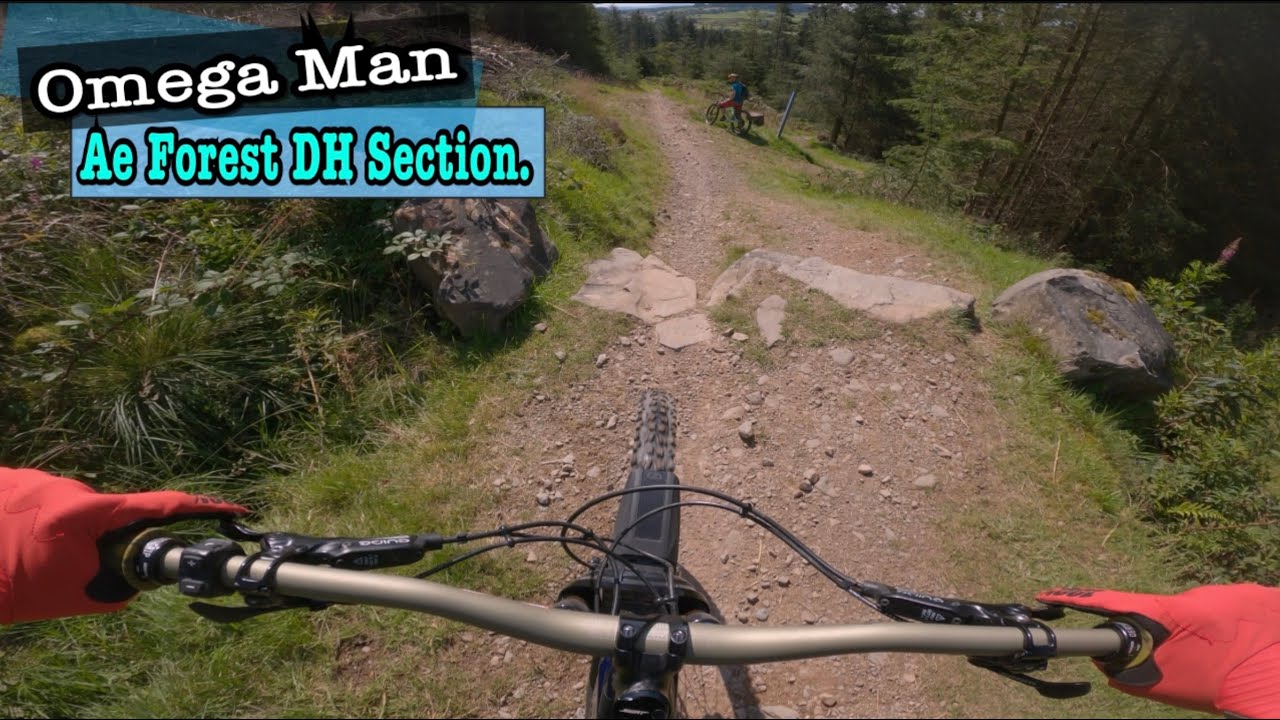 Omega Man, DownHill Section. Ae Forest. 7stanes.