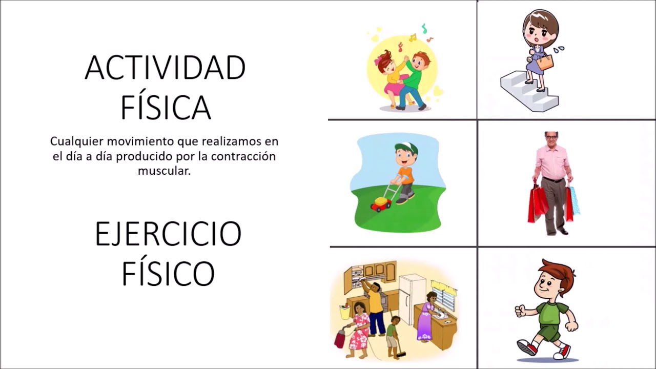 Vida activa y saludable. (5&ordm; y 6&ordm; b&aacute;sico)