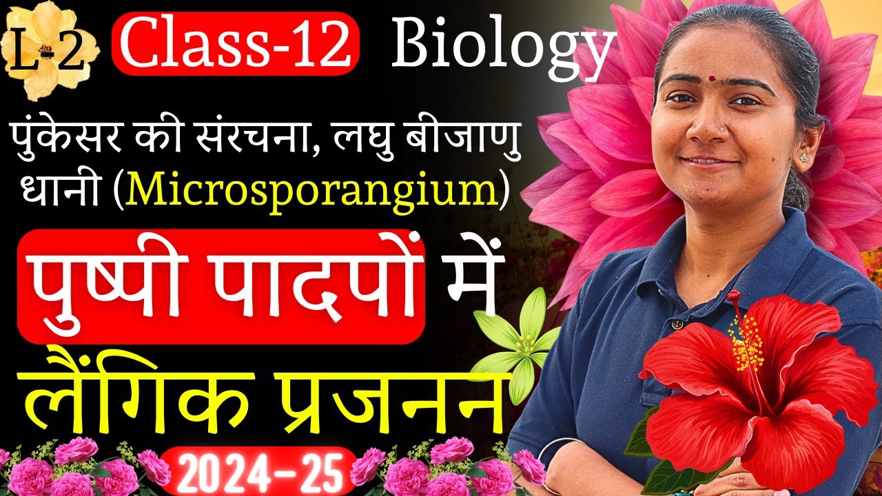L-2, पुंकेसर की संरचना, लघु बीजाणु धानी (Microsporangium) | पुष्पी पादपों में लैंगिक प्रजनन | 12th