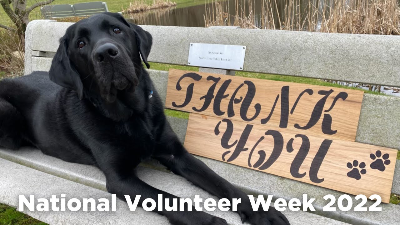 Celebrating National Volunteer Week 2022