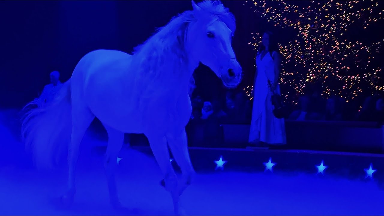 Alex Giona Pferdeshow - Weltweihnachtscircus Stuttgart 2024/25 Zirkus Kunstst&uuml;cke Friese Araber