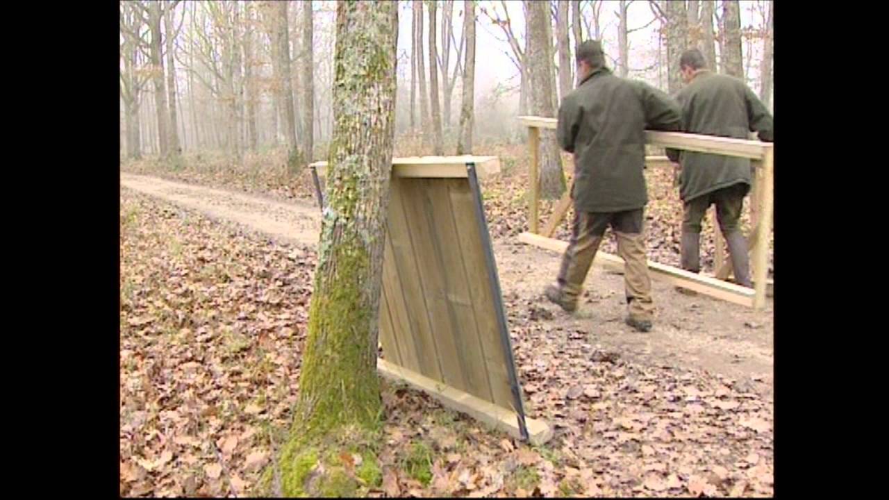 Mirador Cheverny chasse
