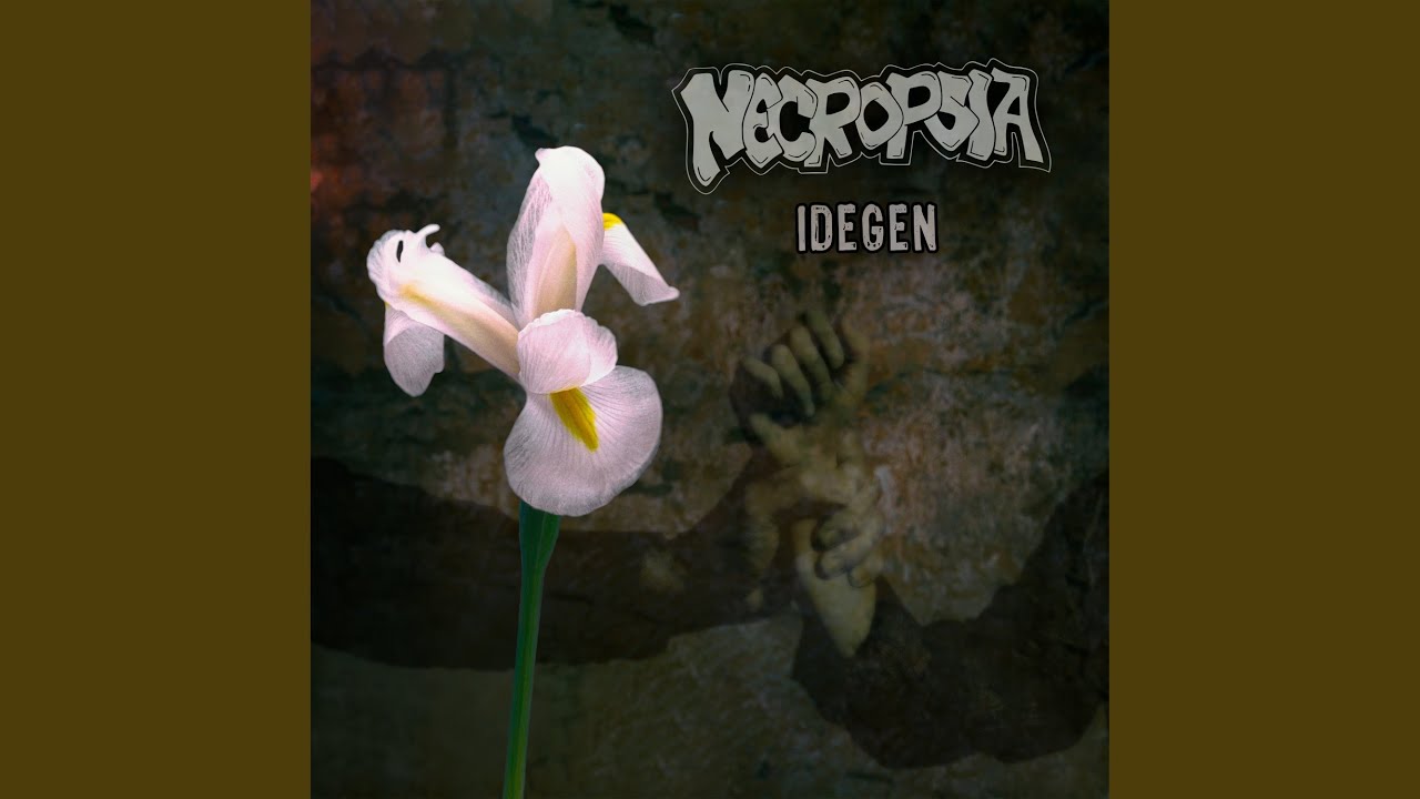 Idegen