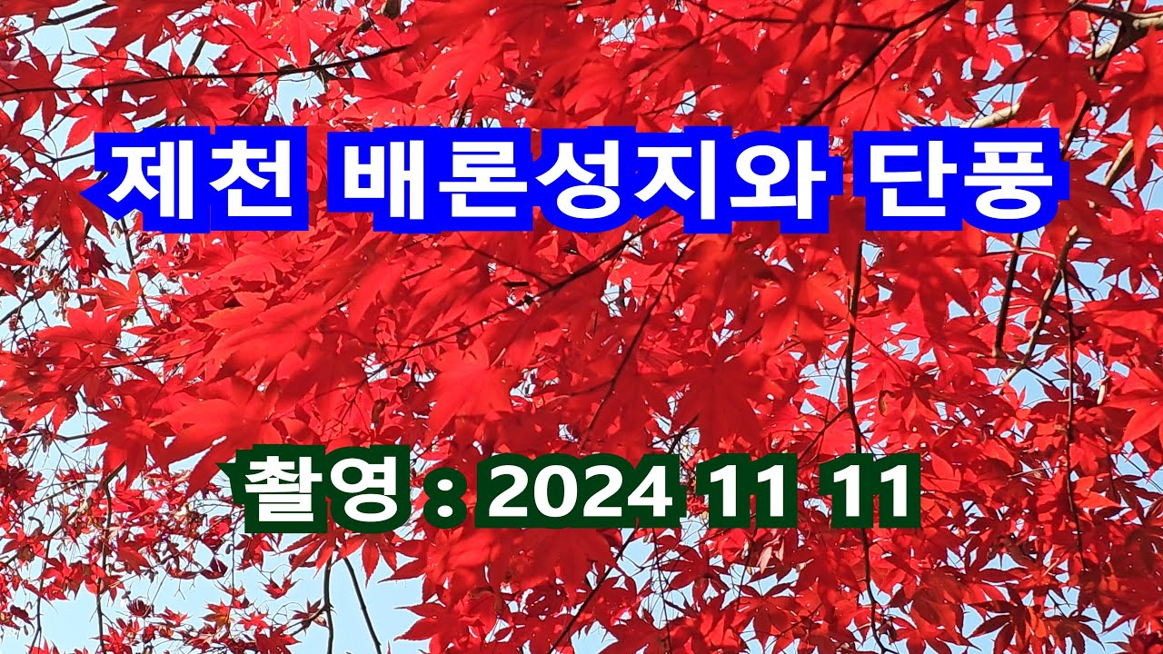 제천 배론성지 단풍 UHD 4K