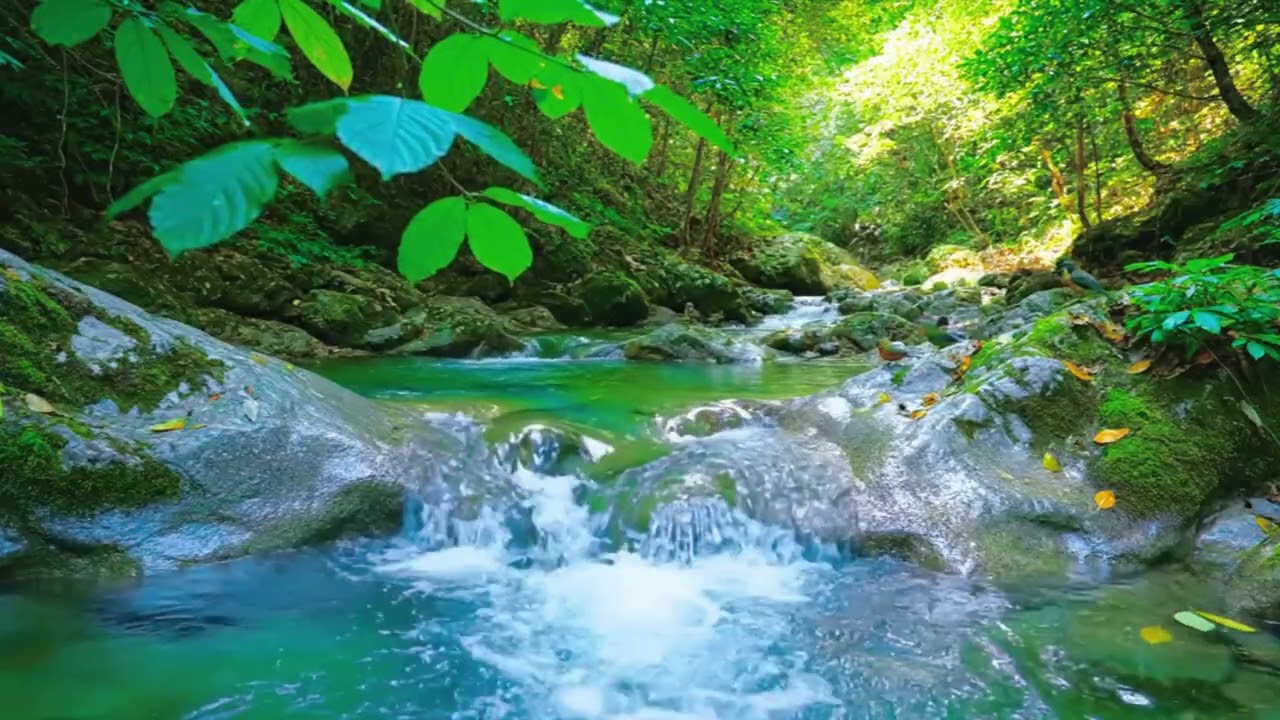 3 Hours Relaxing Forest River Sounds – Gentle Flow ASMR for Sleep, Study & Meditation