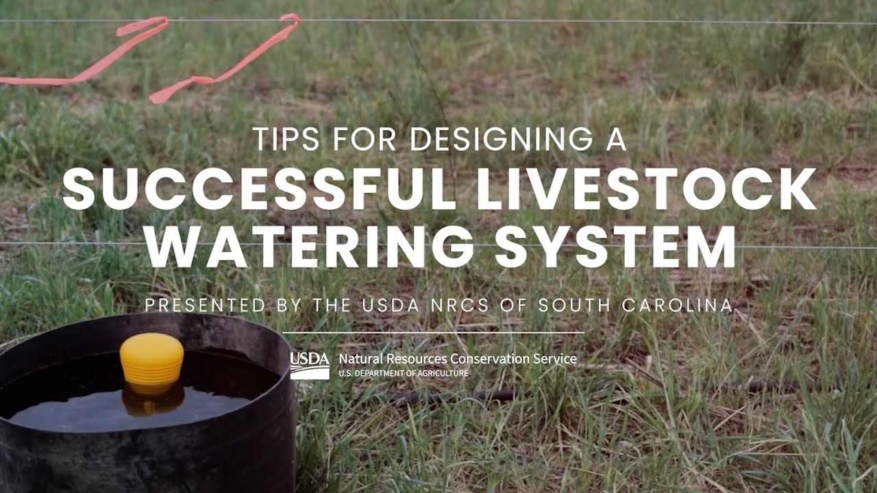 How to Set Up a Livestock Watering System on Your Pasture: Complete Guide