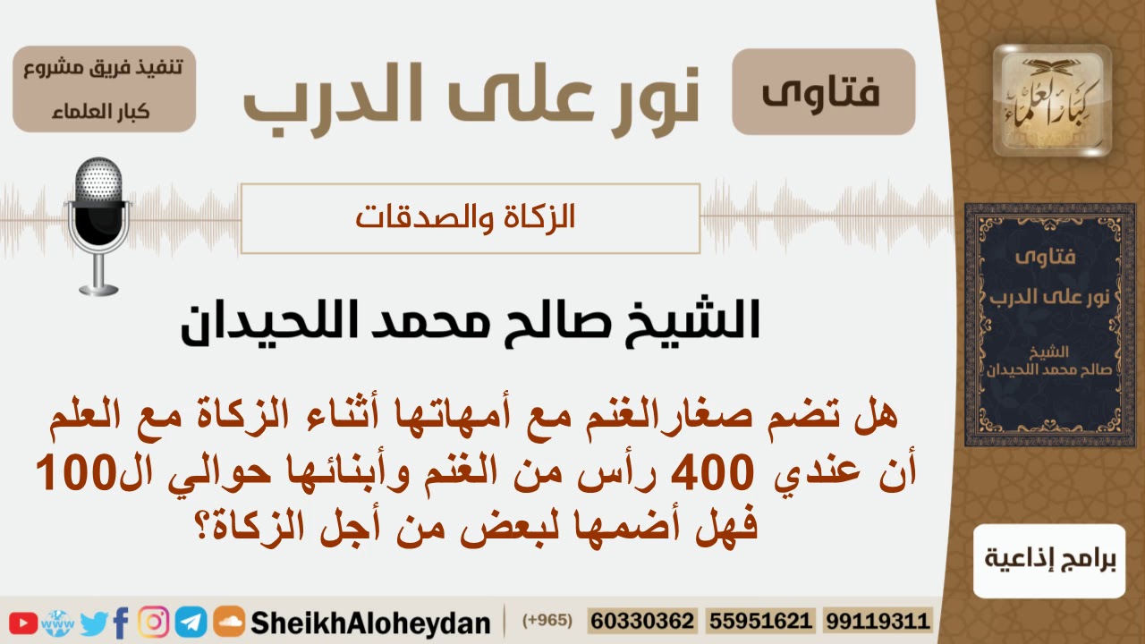هل تضم صغار الغنم مع أمهاتها أثناء الزكاة؟ الشيخ اللحيدان - مشروع كبار العلماء