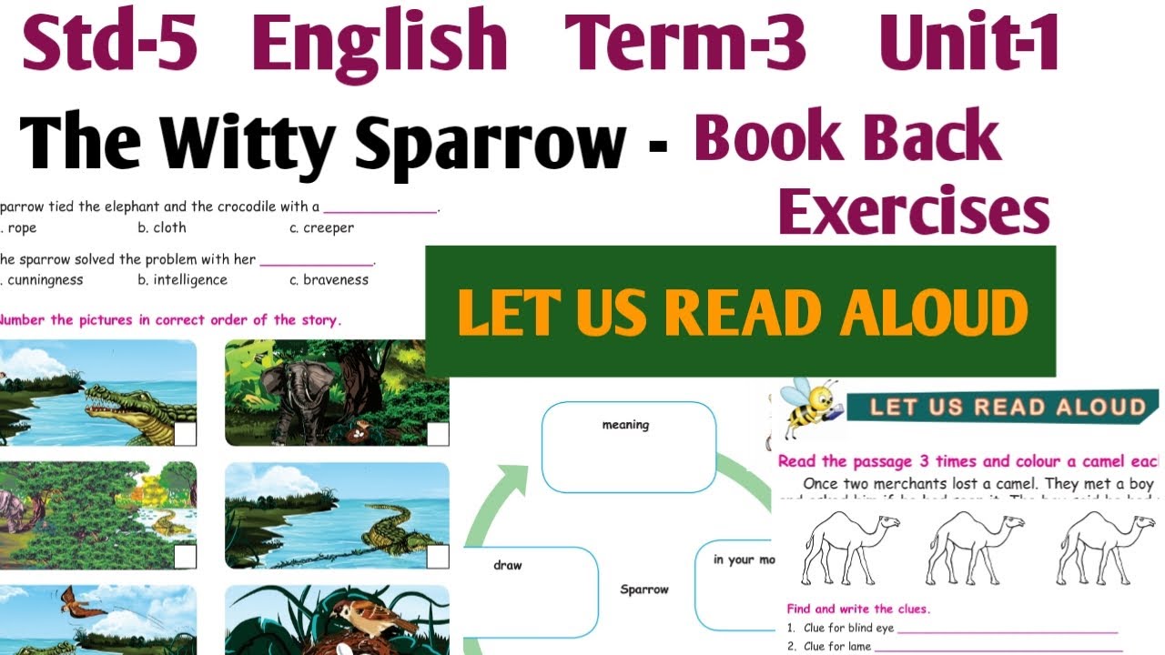 The Witty Sparrow Book Back Exercises | 5th std English Term 3 unit 1 | Let us read aloud