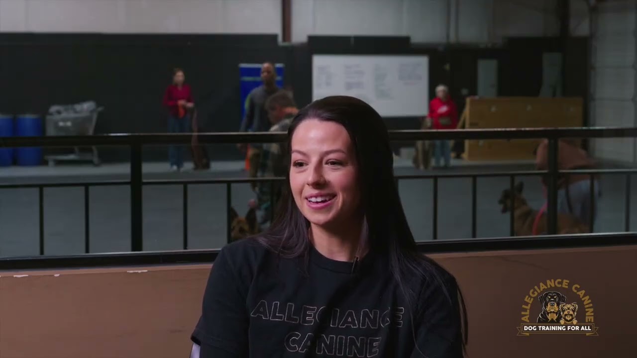 We Are Allegiance Canine! Meet the instructors & learn about our passion for dog training.