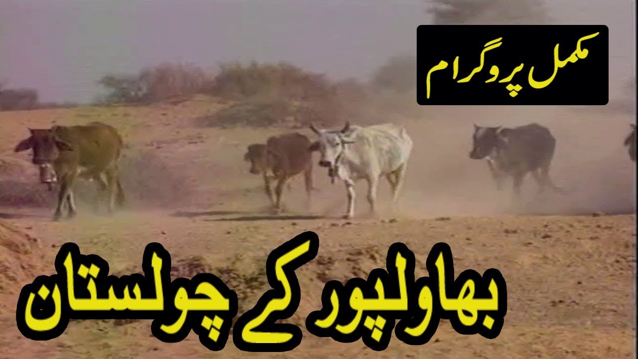 Bahawalpur Ky Sahra Cholistan Documentary  ( ہسٹری بہاولپور )