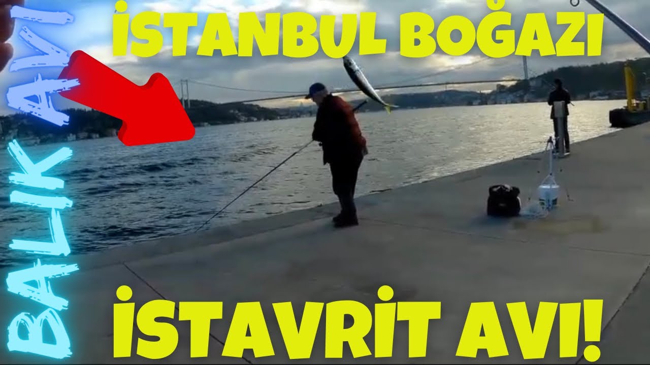 İSTANBUL BOĞAZI İSTAVRİT AVI! GÜNCEL BALIK DURUMU! KASIM 2025 