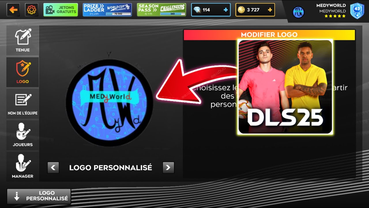 DLS 25 • COMMENT IMPORTER un LOGO