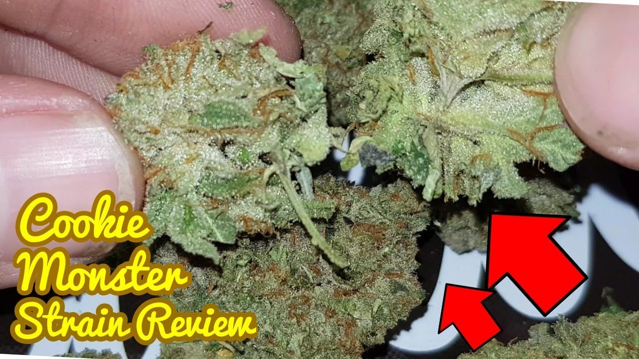 Cookie Monster Strain Review