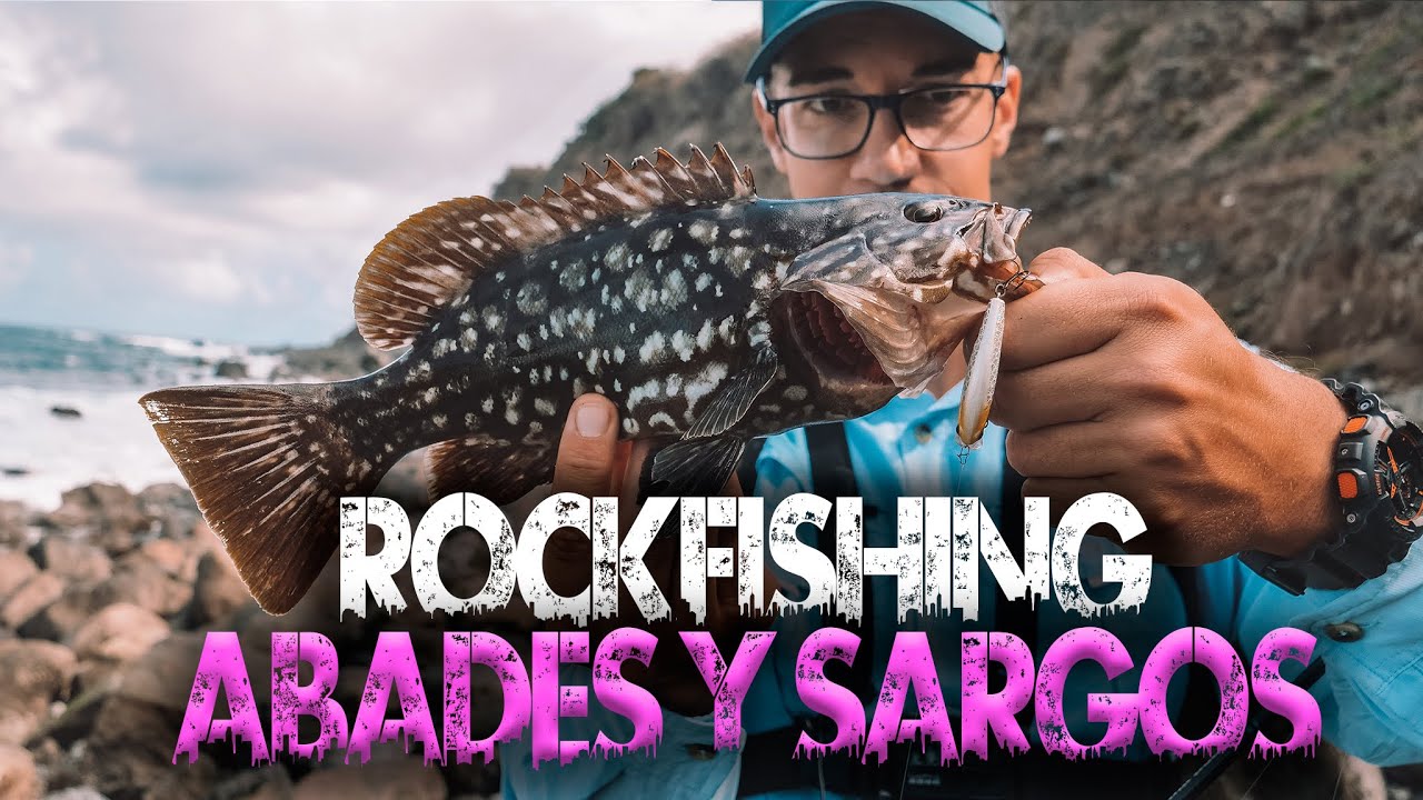 SARGOS Y ABADES ROCKFISHING TENERIFE | DOCUMENTAL | PESCANDO LIGERO TENERIFE