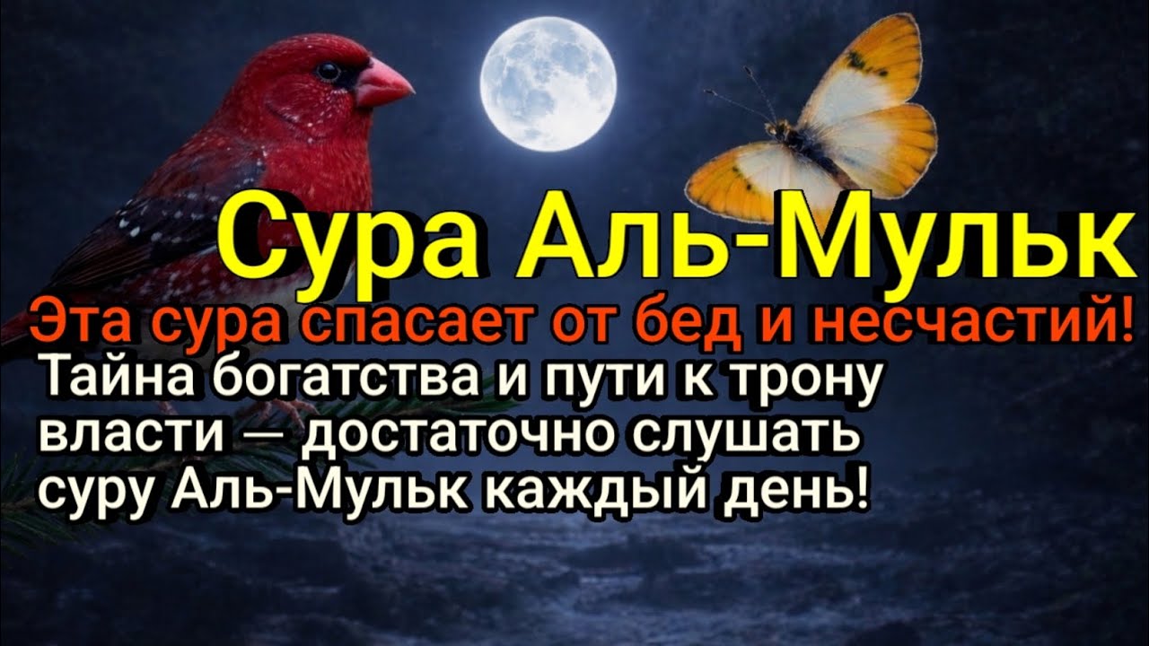Истинное богатство ты обретёшь, слушая суру Аль-Мульк каждый день!