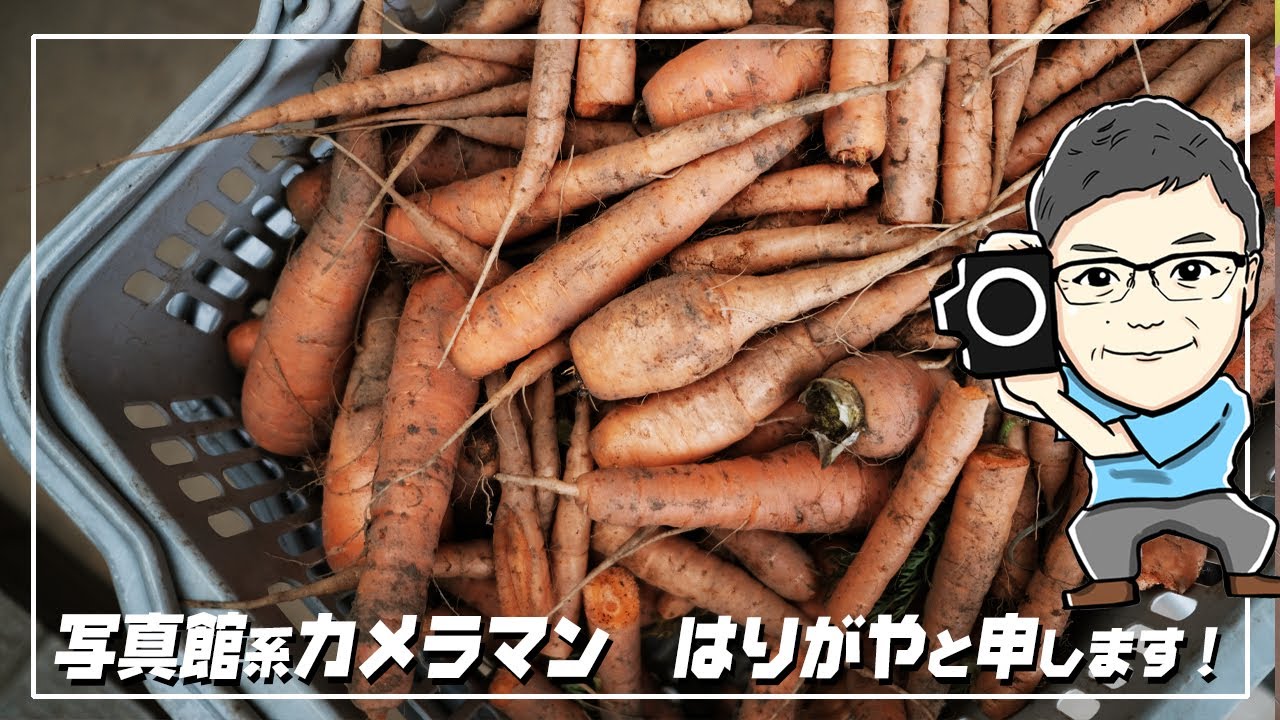 ポンコツ写真道89　GFX50S2でポトレとった感想