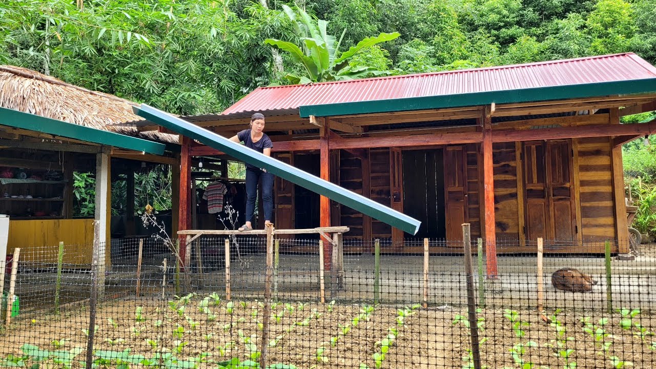 Harvest vegetables to sell and install roof gutters to prevent rainwater from entering the house