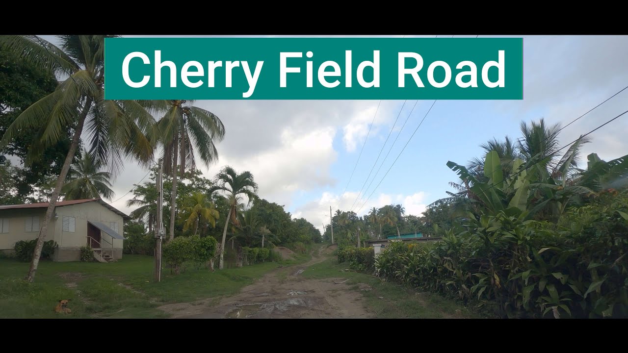 Cherry Field Road, Tremolesworth District, St Mary, Jamaica