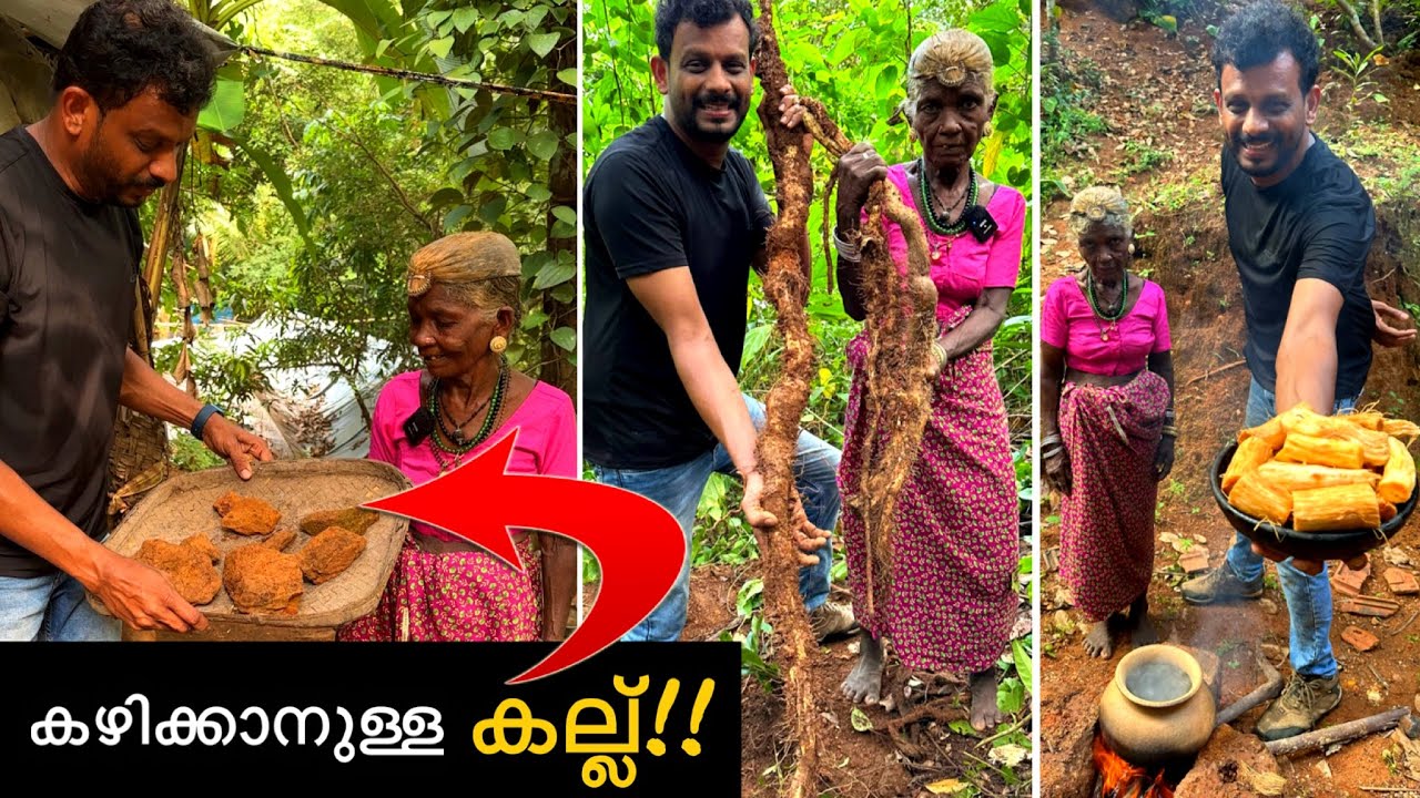 കല്ലും കാട്ട് കിഴങ്ങും കഴിച്ച് ജീവിക്കുന്ന തൊണ്ണൂറ് വയസ്സുള്ള അമ്മ..😱 kasaragod