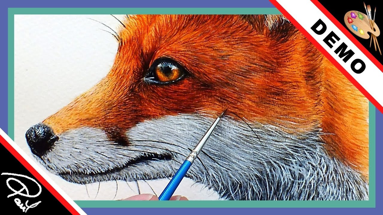 Learn Watercolour Painting - Realistic Fox Demonstration